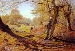Seasons In The Wood - Spring - The Outskirts Of Burham Wood
