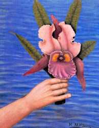 Orquídea
