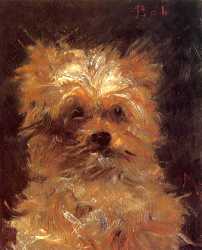 Head Of A Dog - -Bob-