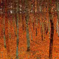 Beech Forest I