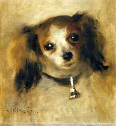 Head Of A Dog