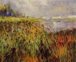 Bulrushes On The Banks Of The Seine