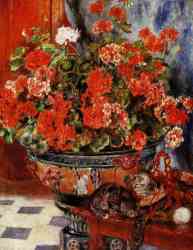 Geraniums And Cats