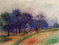 Landscape 16