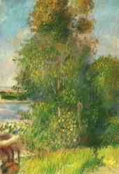 Landscape 19