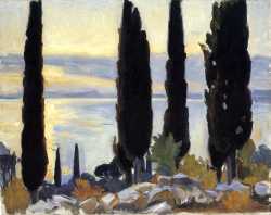 Cypress Trees At San Vigilio