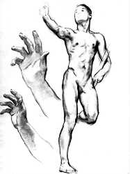Studies For Figure Of Classic Art
