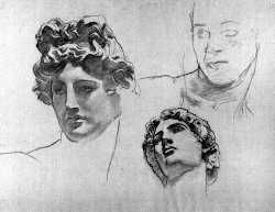 Studies For Head Of Apollo