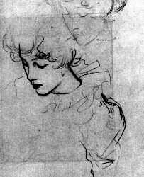 Study Of Dorothy Barnard For Carnation, Lily, Lily  Rose
