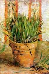 Flowerpot With Chives