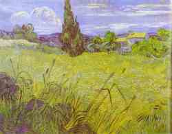 Green Wheat Field With Cypress - Saint Remy