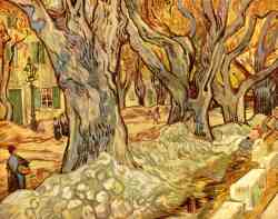 Large Plane Trees 1889