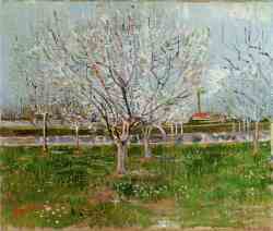 Orchard In Blossom 3