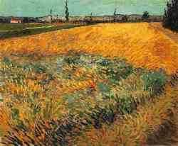 Wheat Field With The Alpilles Foothills In The Background