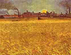 Wheat Fields Near Arles - Sunset