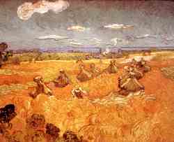 Wheat Stacks With Reaper