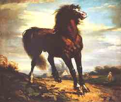 The Horse