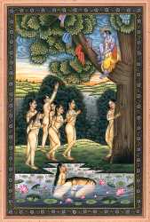 Chir Haran Krishna Stealing The Clothes Of Gopis