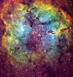 Cepheus Rainbow