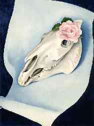 Horse-s Skull Wiith Pink Rose