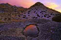 Mexico Desert Landscape