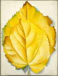 Two Yellow Leaves