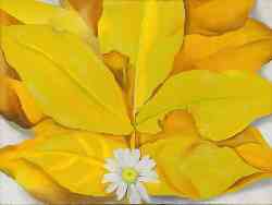 Yellow Hickory Leaves With Daisy