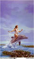 Dolphin Dreams