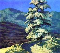 Deepsnow