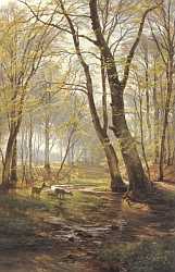 A Woodland Scene With Deer