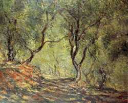 The Olive Tree Wood In The Moreno Garden