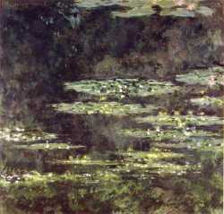 Water Lilies 1