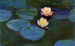 Water Lilies 3
