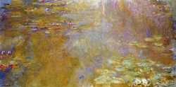 Water Lily Pond 1