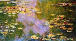 Water Lily Pond 2