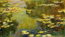 Water Lily Pond 3