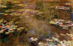 Water Lily Pond 4