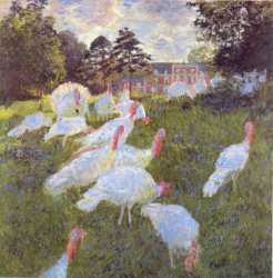 The Turkeys At Montgeron