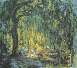 Weeping Willow 2