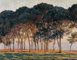 Under The Pine Trees At The End Of The Day