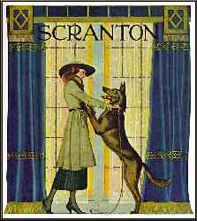 Scranton Curtains - Lady With Dog
