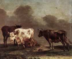 Cows In A Meadow