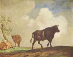 Cows