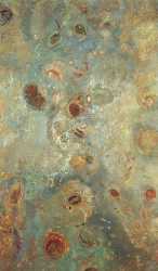 Underwater Vision 1