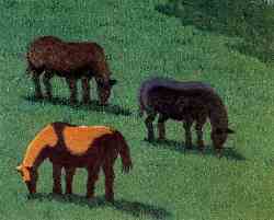 Caballos