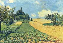 Grain Fields In The Hills Of Argenteuil