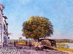 Chestnut Tree At Saint-Mammes