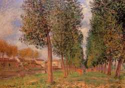 Lane Of Poplars At Moret - Cloudy Morning