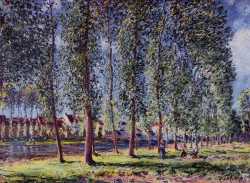 Lane Of Poplars At Moret