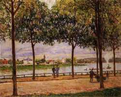 Promenade Of Chestnut Trees